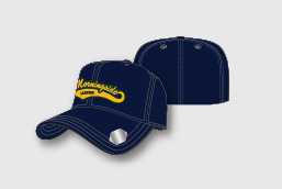 category-2D-cap-pro style-new